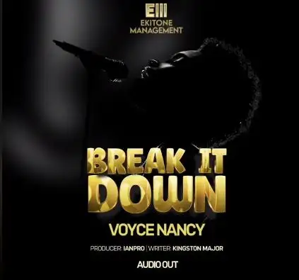 Break it Down by Voyce Nancy